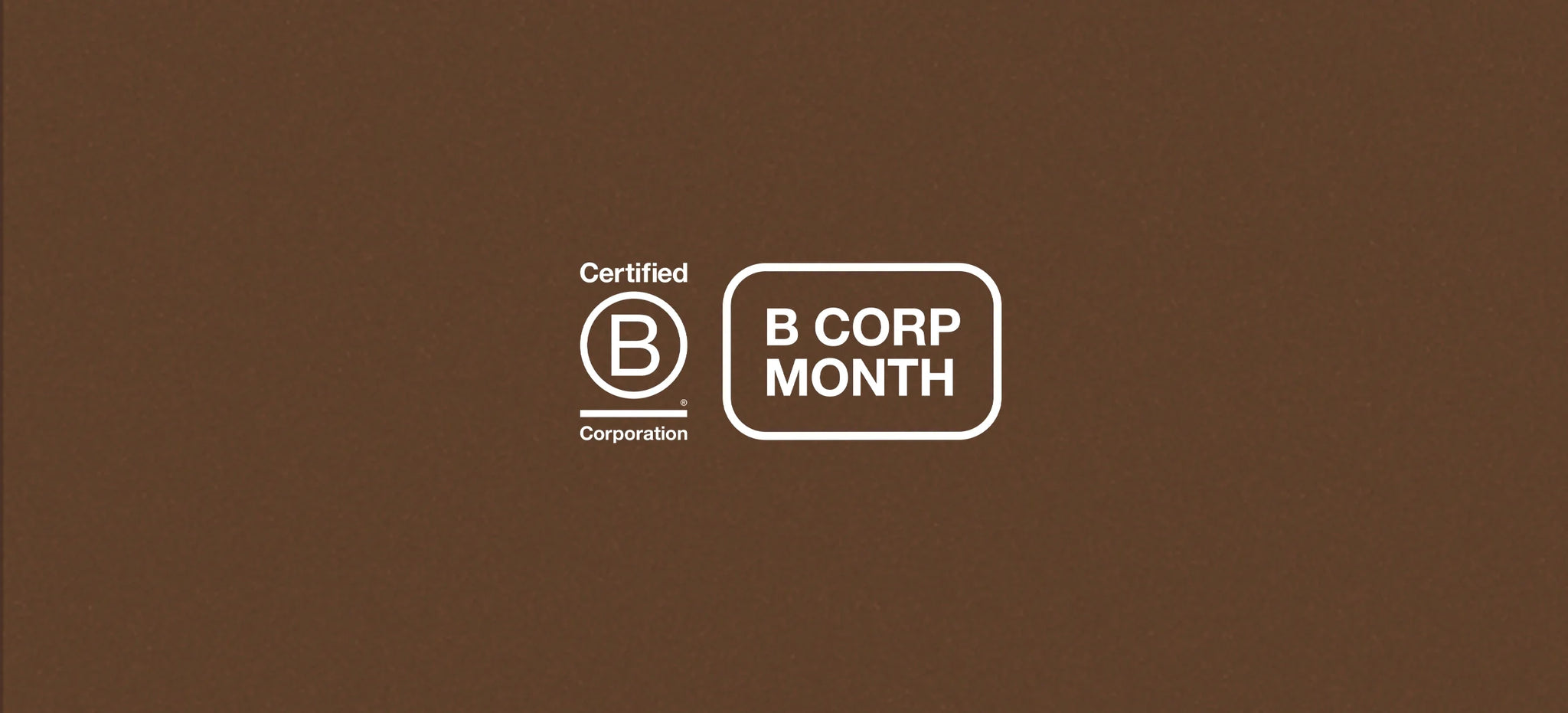 B Corp Month: responsible business since 1986
