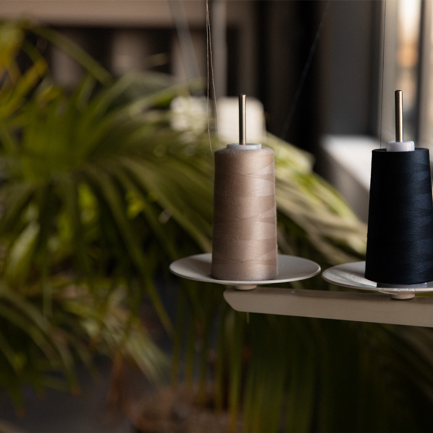 Image 68269632881015